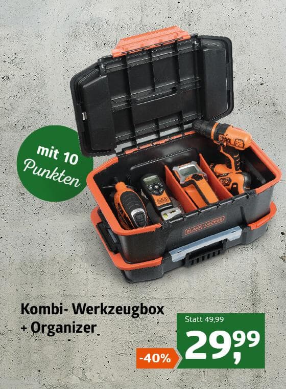 Kombi Werkzeugbox + Organizer